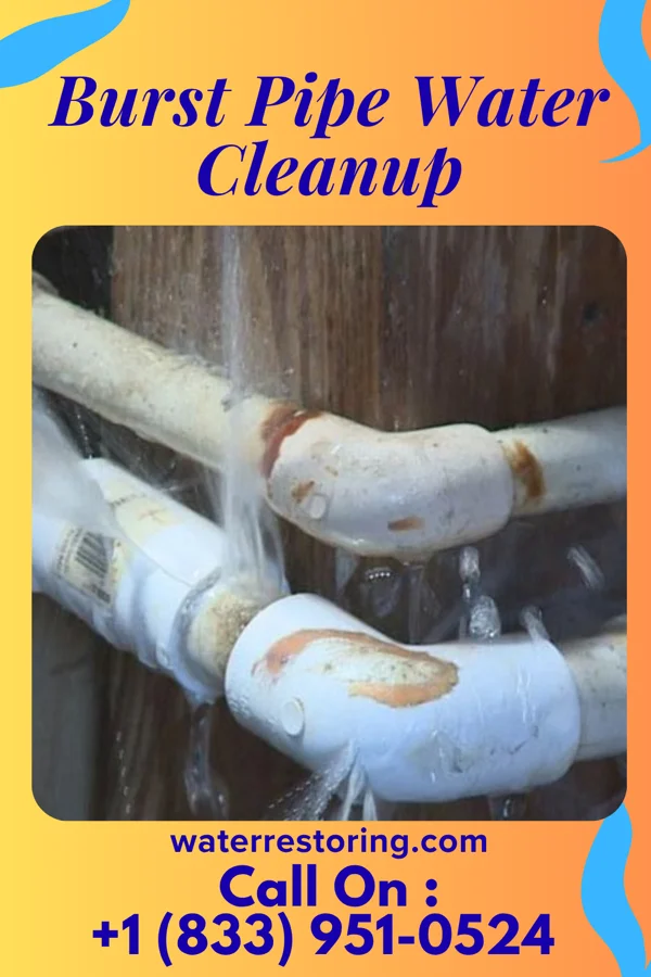 Burst Pipe Water Cleanup in Boyce, VA