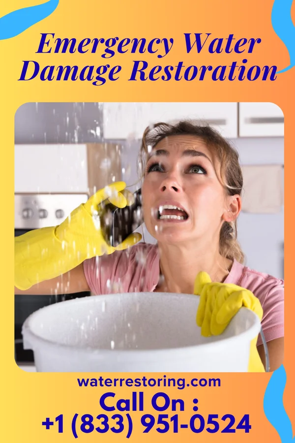 Emergency Water Damage Restoration in Boyce, VA
