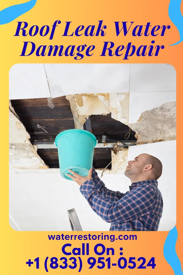 Roof Leak Water Damage Repair in Boyce, VA