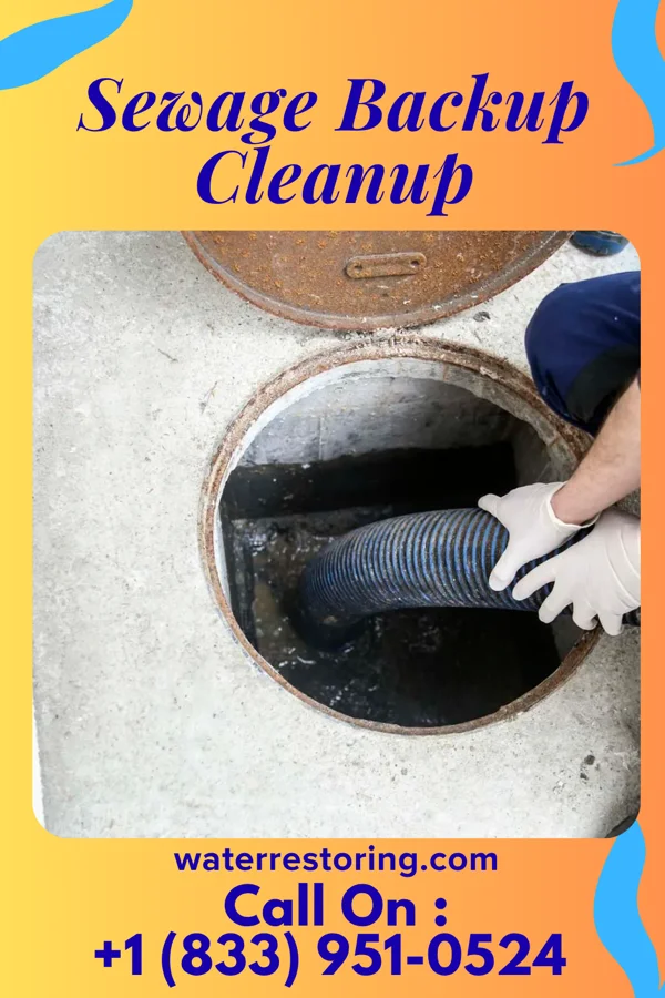 Sewage Backup Cleanup in Boyce, VA