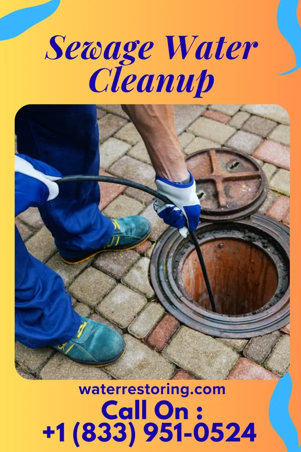 Sewage Water Cleanup in Boyce, VA